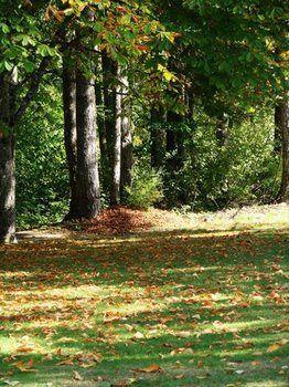 Cabins And Campground At Cultus Lake Park Hotel Chilliwack Buitenkant foto